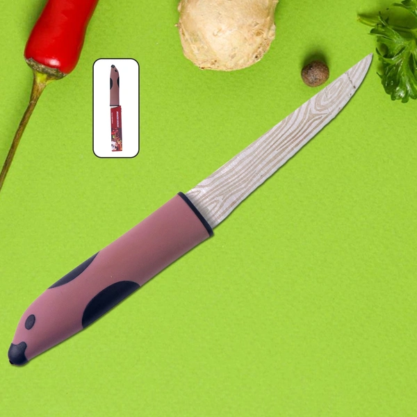 Multi-Purpose Stainless Steel Kitchen Cutting Knife – 1 Pc
