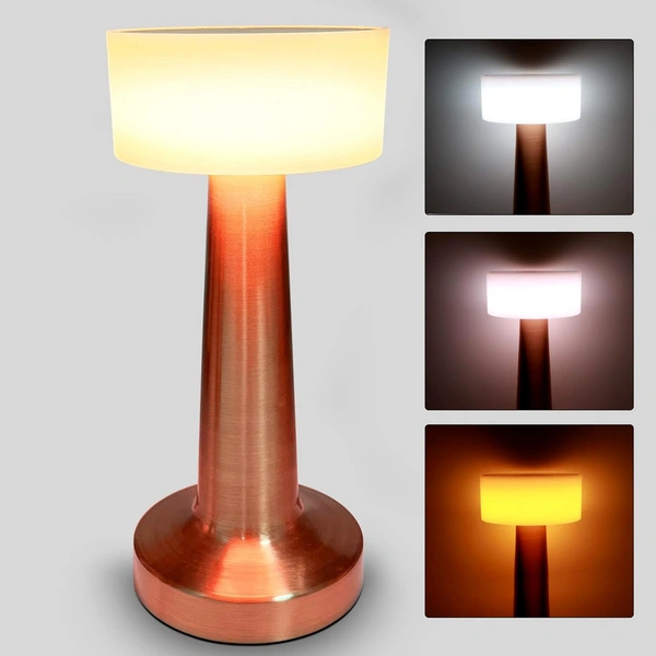 Touch Control LED Desk Lamp – 3 Color Modes, Rechargeable