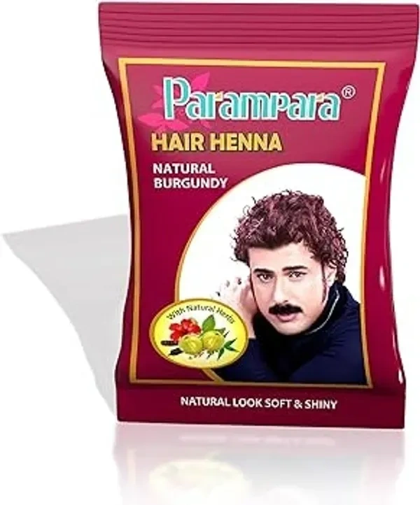 Parampara Naturl Henna Burgundy ,20 gm 