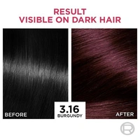 Loreal Paris Excellence Creme Hair Color - 3.16 burgundy (72ml + 100g)