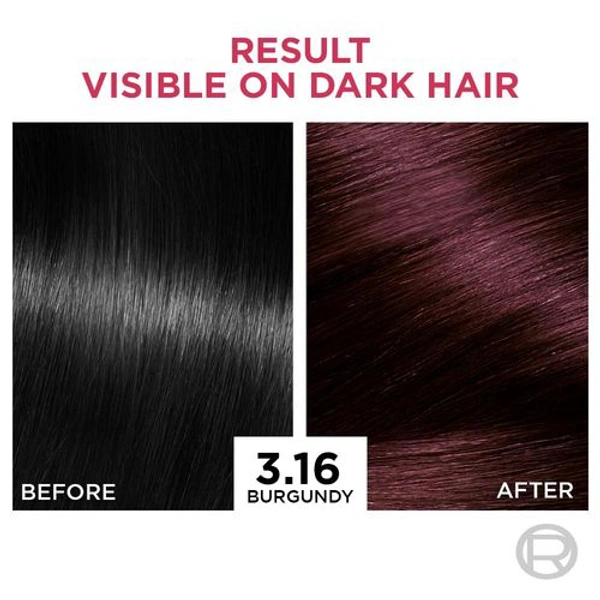 Loreal Paris Excellence Creme Hair Color - 3.16 burgundy (72ml + 100g)