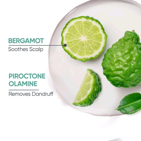 Biolage Scalppure Professional Anti-Dandruff Conditioner, 98gm