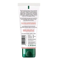 Biotique Fruit Brightening Face Wash (100 ml)