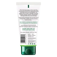 Biotique Fresh Neem Purifying Face Wash,150 Gm 