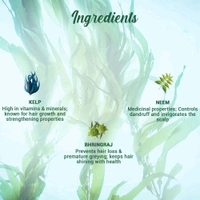 Biotique Ocean Kelp Shampoo (340ml)