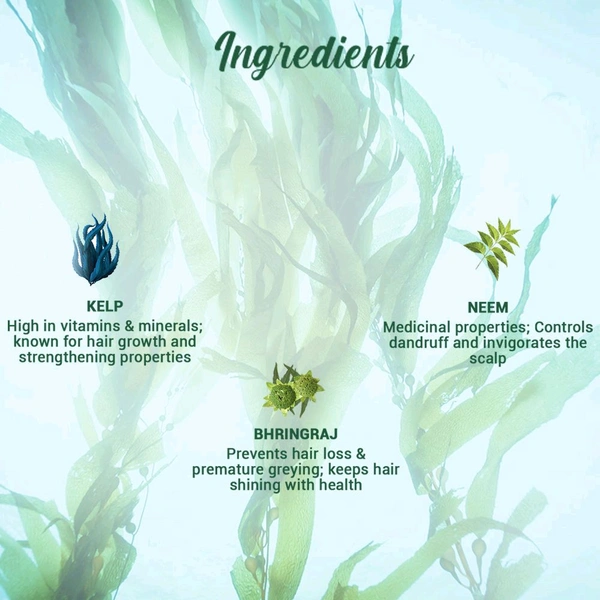 Biotique Ocean Kelp Shampoo (340ml)