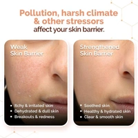 Mamaearth Chia Seed and Ceramides Oil-Free Face Wash,100gm 