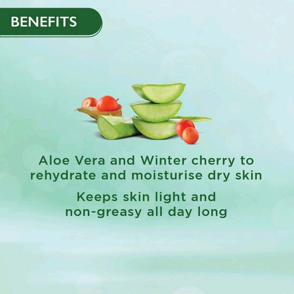 Himalaya Nourishing Skin Cream (100ml)