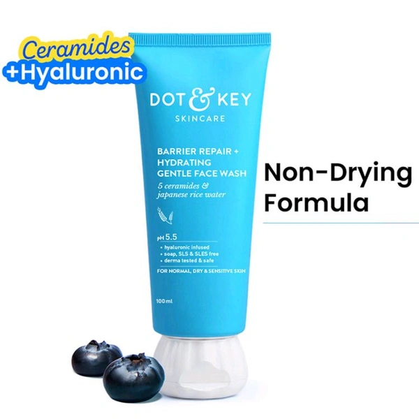 Dot & Key Barrier Repair + Hydrating Gentle Face Wash (100ml)