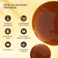 Indulekha Bringha Ayurvedic Hair shamphoo 200 ml