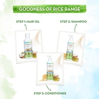 Mamaearth Rice Water Shampoo With Rice , 250ml 