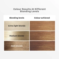 Streax Hair Colour Highlighting Kit - Soft Blonde (75g)