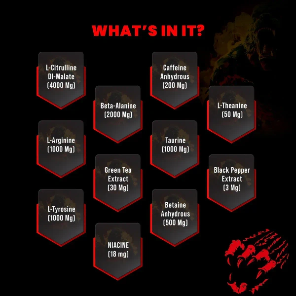 Big Muscle Bigmuscles Nutrition Karnage Pre workout| Pre-workout Supplement Supports to Improve Focus, Strength, Energy and Pump, Banned Substance Tested, Dope Free - 60 Servings, Sex On the Beach, 300