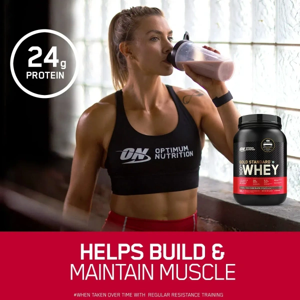 Optimum Nutrition (ON) Gold Standard 100% Whey 1 Lbs - Double Rich Chocolate