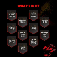 Big muscles Nutrition Karnage Pre-workout, 60 Servings - Sex On The Beach