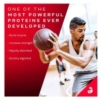 MuscleTech Nitro-Tech 100% Whey Gold - 8.8 Lbs - Double Rich Chocolate