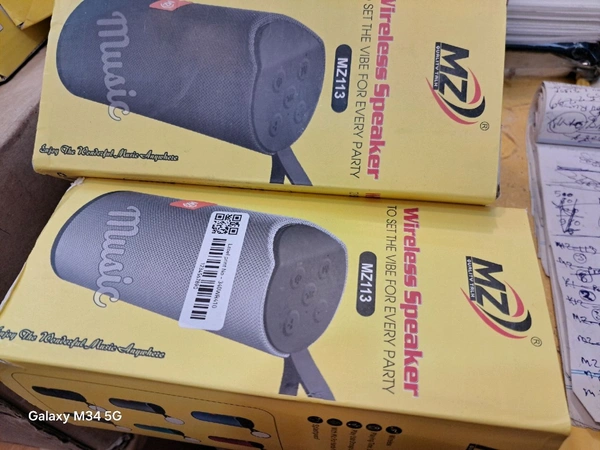 Mz- 113 Speaker 