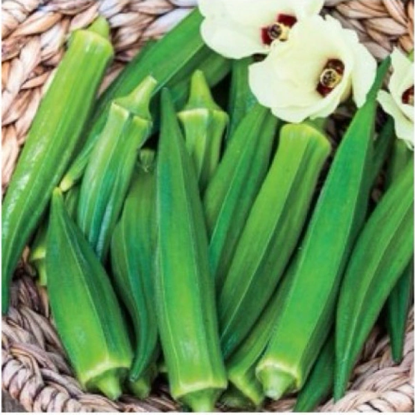 Bhindi Seeds Okra