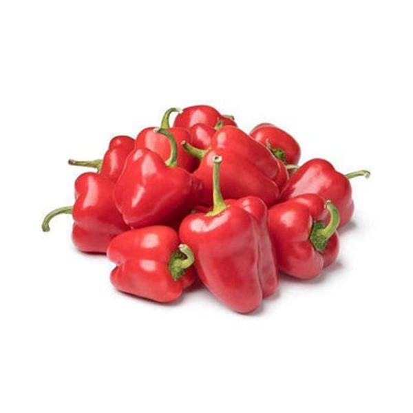 Red Capsicum 