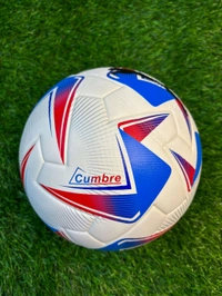 Cumbre Conmebol Copa America 2024 (5 Size)