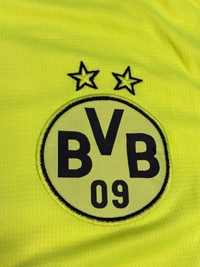 Dortmund 24/25 Neon Green Fan Edition Half Sleeve With Short - S