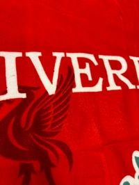 Liverpool FC Logo Printed Premium Quality Towel (55*23 In)