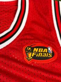 NBA Chicago Bulls Red - JORDAN 23 - M