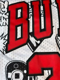 NBA Chicago Bulls White Colour - Jordan 23 - L