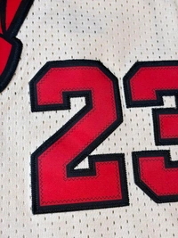 NBA Chicago Bulls White Colour - Jordan 23 - XL