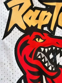 NBA Toronto Raptors White Colour - Carter 15 - XL