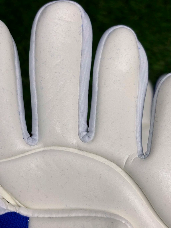 Predator Blue And White GK Gloves - 10