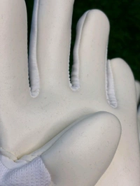 Predator White GK Gloves - 10