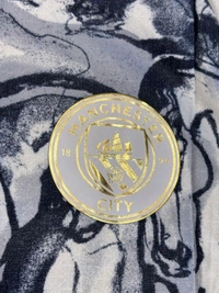 Manchester City 25/26 Horse Special Kit Player Edition - L