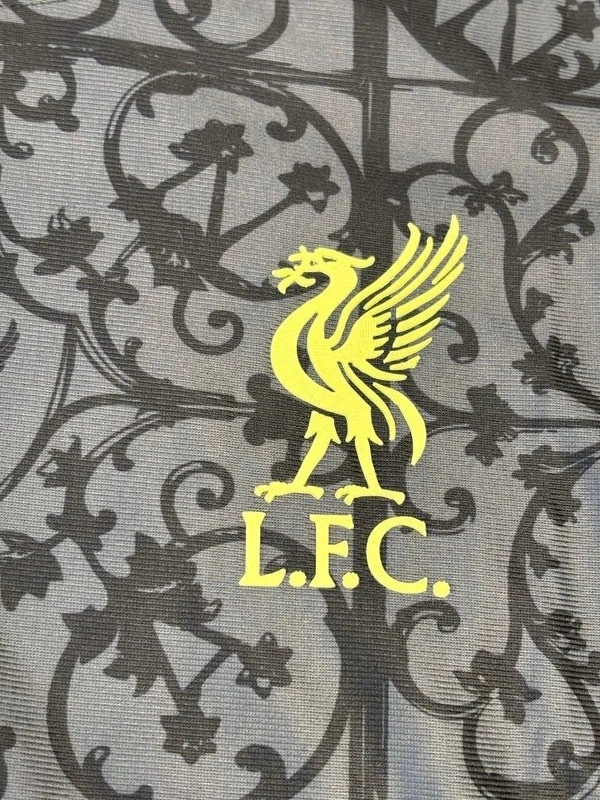 Liverpool FC 25/26 LFSTLR Jersey Shirt in Carbon and Halo Gold - M