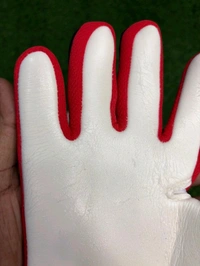 Predator Black And Red Colour Premium Match Gloves - 9