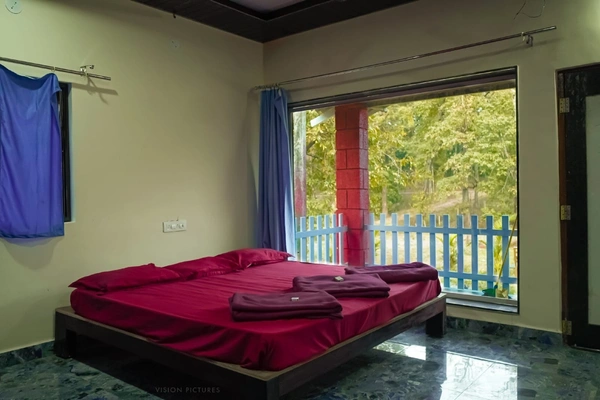 Hidden Jungle Escape