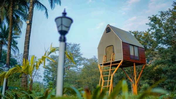Eco Green Jungle Stay