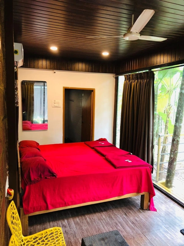 Old brook Jungle Stay