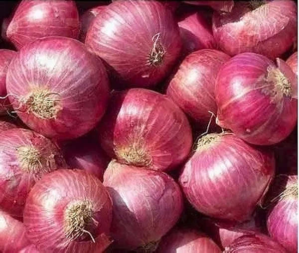 ONION/PYAJ