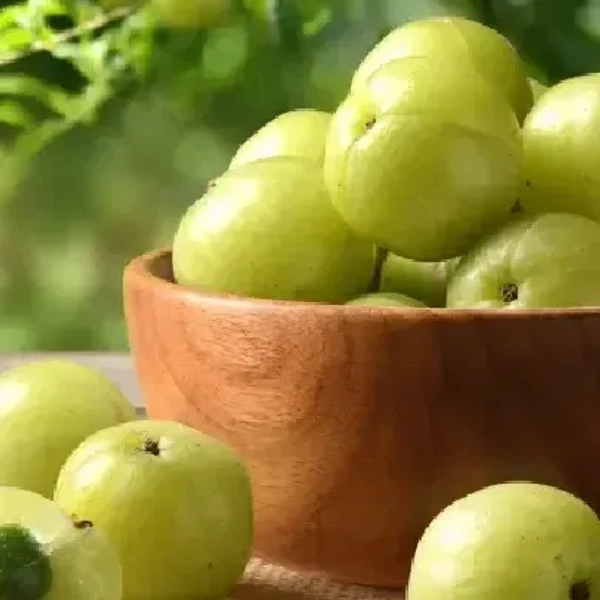 AMLA << நெல்லிக்காய் >>