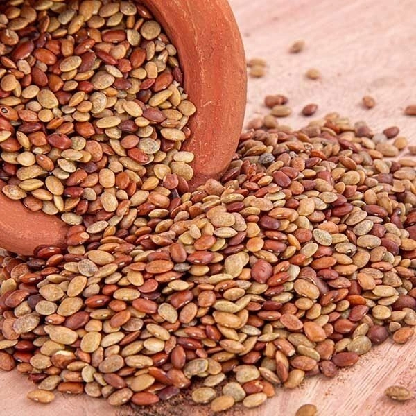 KOLLU << கொள்ளு >> - 500 GM