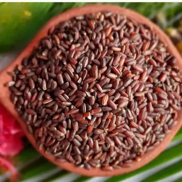 POONGAR << பூங்கார் >>