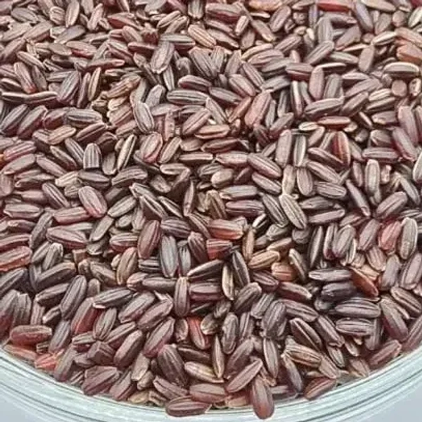 KAATUYANAM << காட்டுயானம் >>