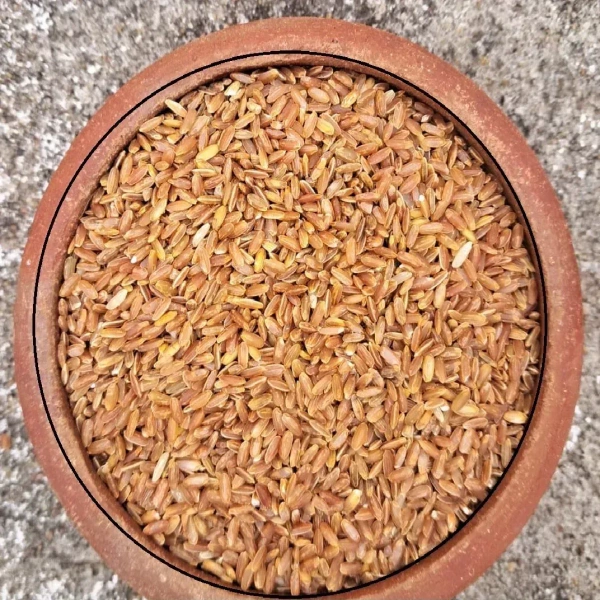 RATHASAALI << ரத்தசாலி >>