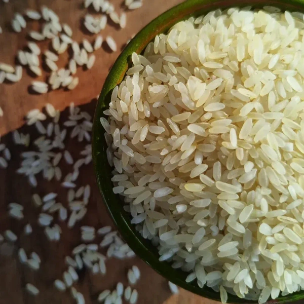 THANGA SAMBA << தங்கச் சம்பா >>