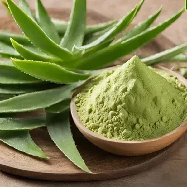 ALOEVERA << சோற்றுக் கற்றாழை >>