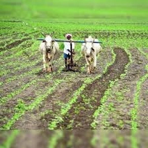 Sell Agriculture Land