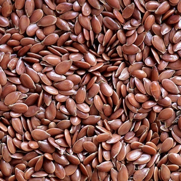 FLAX SEED << ஆளி விதை>>