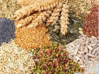 Ready to Cook  <<உணவு சமைக்க >>