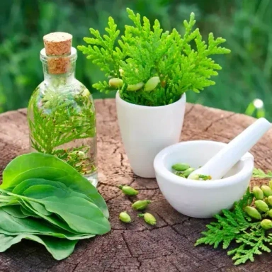 Natural Medicines << இயற்கை நலம் >>